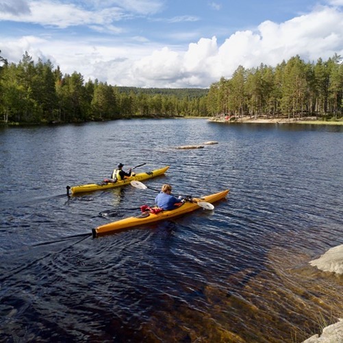 kayak